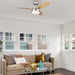 42 in. Brushed Nickel Ceiling Fan, Home Ceiling Fan, Best Flush Mount Ceiling Fans-5-ErisView