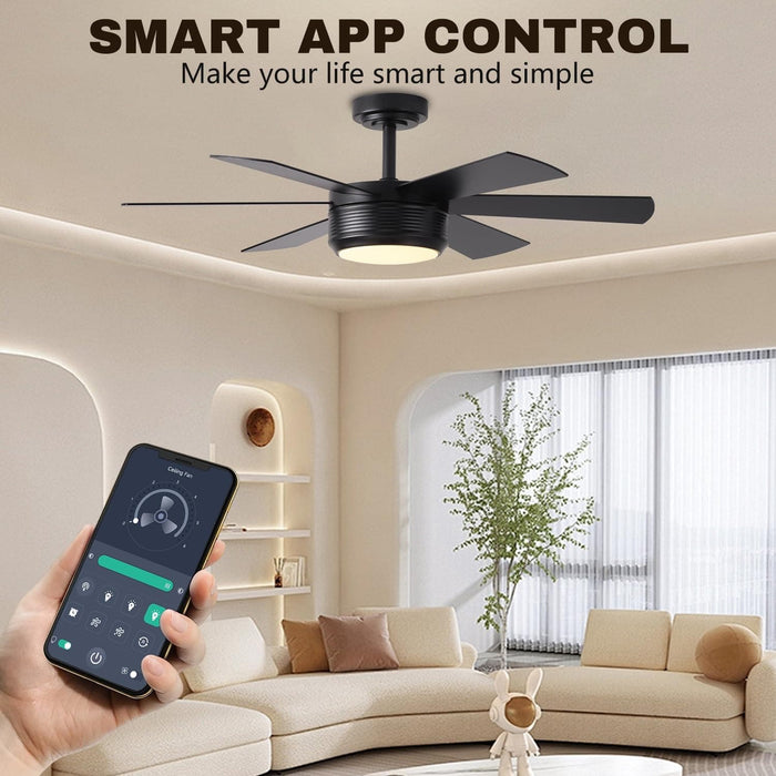 42 in. Ceiling Fan with Light and Remote APP Control, Reversible Outdoor Wood Ceiling Fan, Best Outdoor Ceiling Fan with Light, Black Outdoor Ceiling Fan-2-ErisView