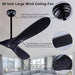 42 in. Ceiling Fan with Light and Remote, Farmhouse Reversible Quiet Ceiling Fans for Living Room Bedroom, Black Outdoor Ceiling Fan-14-ErisView