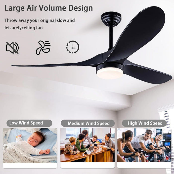 42 in. Ceiling Fan with Light and Remote, Farmhouse Reversible Quiet Ceiling Fans for Living Room Bedroom, Black Outdoor Ceiling Fan-23-ErisView