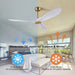 42 in. Ceiling Fan with Light and Remote, Farmhouse Reversible Quiet Ceiling Fans for Living Room Bedroom, Black Outdoor Ceiling Fan-39-ErisView