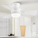42 in. Ceiling Fan with Lights Remote, Reversible Quiet Ceiling Fans, Black Modern Flush Mount Ceiling Fan with Low Profile Light for Bedroom Living Room-9-ErisView