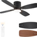 42 in. Ceiling Fan with Lights Remote, Reversible Quiet Ceiling Fans, Black Modern Flush Mount Ceiling Fan with Low Profile Light for Bedroom Living Room-1-ErisView
