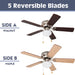 42 in. Traditional Flush Mount Indoor LED Ceiling Fan with Light, Pull Chain, Reversible Fan for Summer Winter-3-ErisView