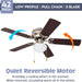 42 in. Traditional Flush Mount Indoor LED Ceiling Fan with Light, Pull Chain, Reversible Fan for Summer Winter-4-ErisView