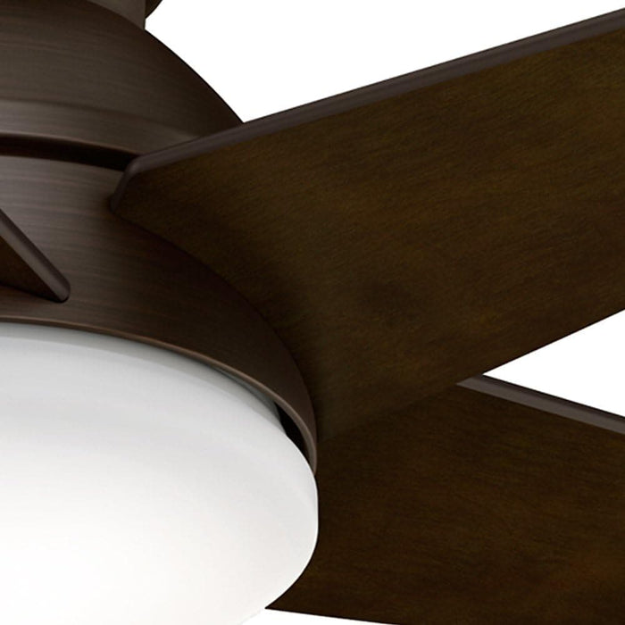 44 in. Ceiling Fan with Light with Wall Control, Small Brushed Ceiling Fan-3-ErisView