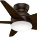 44 in. Ceiling Fan with Light with Wall Control, Small Brushed Ceiling Fan-1-ErisView