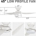 45 in. Smart Low Profile Flush Mount Ceiling Fan, Reversible Modern Ceiling Fan, Compatible with Alexa, Siri, Google Smart APP-8-ErisView