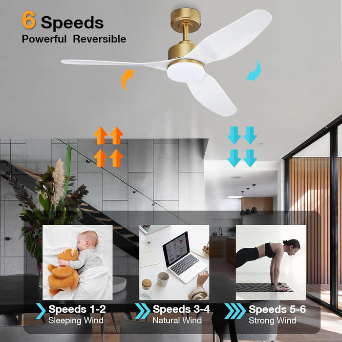 48 in. Gold Smart Outdoor Fans with Lights and Remote Control, Dimmable Reversible Ceiling Fan with Wi-Fi Alexa APP Control for Bedroom Living Room Patio-4-ErisView
