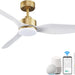 48 in. Gold Smart Outdoor Fans with Lights and Remote Control, Dimmable Reversible Ceiling Fan with Wi-Fi Alexa APP Control for Bedroom Living Room Patio-1-ErisView