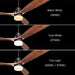 48 in. Indoor Outdoor Ceiling Fan with Light and Remote, Dimmable Smart Modern Ceiling Fan with Timer, Wood Ceiling Fan for Bedroom Living Room-24-ErisView