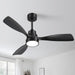 48 in. Indoor Outdoor Ceiling Fan with Light and Remote, Dimmable Smart Modern Ceiling Fan with Timer, Wood Ceiling Fan for Bedroom Living Room-7-ErisView