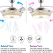 48 in. Retractable Bluetooth Ceiling Fan with Speaker and Remote APP Control, RGB Reversible Ceiling Fan, Modern Invisible Ceiling Fan-6-ErisView