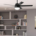 52 in. 5 Blade Ceiling Fan with Light, Hugger Ceiling Fans with Pull Chain, Matte Black Ceiling Fan-4-ErisView