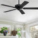 52 in. Black Ceiling Fan, Home Ceiling Fan, Black White Ceiling Fan No Light-2-ErisView