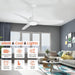 52 in. Black Ceiling Fan with Light and Remote, Reversible Ceiling Fan Winter Summer, Modern Flush Mount Low Profile Fan-13-ErisView