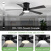 52 in. Black Flush Mount Ceiling Fan with Light, Dimmable Silent Reversible Fan in Winter Summer with Timer for Courtyard Porch Garage-3-ErisView