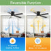 52 in. Black Flush Mount Ceiling Fan with Light, Dimmable Silent Reversible Fan in Winter Summer with Timer for Courtyard Porch Garage-4-ErisView