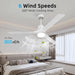 52 in. Black Modern Reversible DC Ceiling Fan, Remote Control Ceiling Fan and Light, Indoor Outdoor Ceiling Fan for Patio Living Room Bedroom-12-ErisView