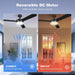 52 in. Black Outdoor Ceiling Fans with Light and Remote, Modern Indoor Outdoor Ceiling Fans, Reversible Quiet Ceiling Fans -4-ErisView