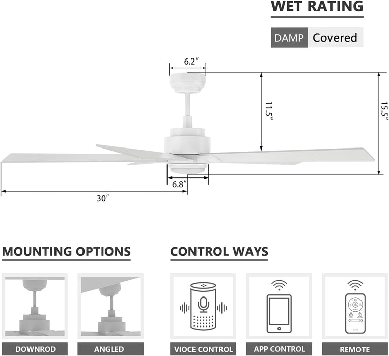 52 in. Black Outdoor Fan, Gold Smart Wi-Fi LED Ceiling Fan with Remote, Compatible with Alexa Google Assistant Siri Shortcut APP Control -20-ErisView