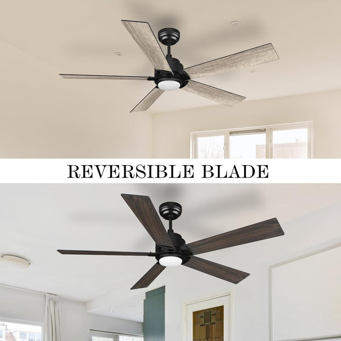 52 in. Black Outdoor Fan, Gold Smart Wi-Fi LED Ceiling Fan with Remote, Compatible with Alexa Google Assistant Siri Shortcut APP Control -27-ErisView