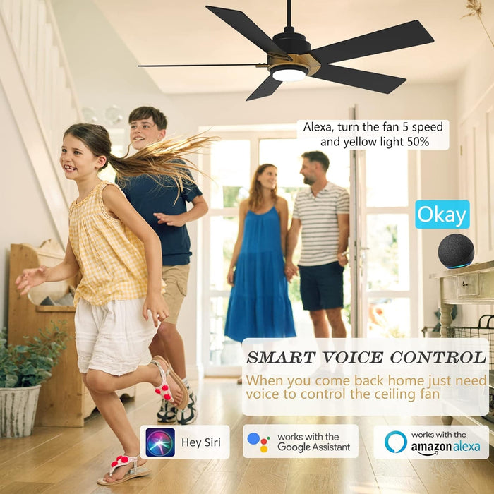52 in. Black Outdoor Fan, Gold Smart Wi-Fi LED Ceiling Fan with Remote, Compatible with Alexa Google Assistant Siri Shortcut APP Control -2-ErisView