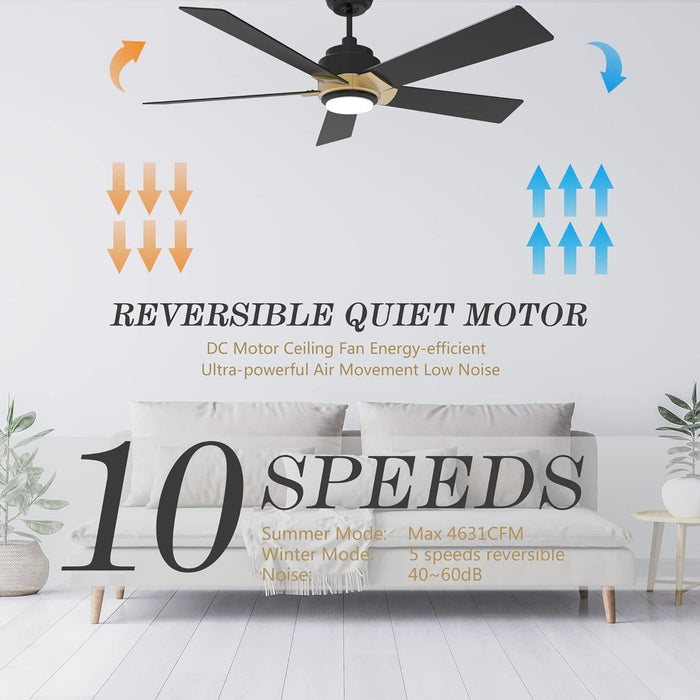 52 in. Black Outdoor Fan, Gold Smart Wi-Fi LED Ceiling Fan with Remote, Compatible with Alexa Google Assistant Siri Shortcut APP Control -6-ErisView