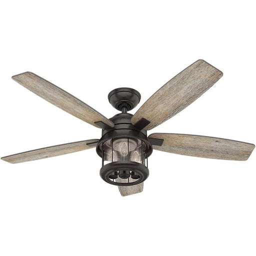 52 in. Black Outdoor Fan, Indoor Ceiling Fans with LED Light and Remote, Hugger Ceiling Fan with Light-1-ErisView