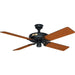 52 in. Black Outdoor Fan, Indoor Outdoor Ceiling Fans with Pull Chain Control, Hugger Ceiling Fans-1-ErisView