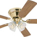 52 in. Brass Ceiling Fan, Indoor Ceiling Fan with Light, Flush Mount Brass Ceiling Fan-3-ErisView