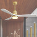 52 in. Ceiling Fan, Outdoor Ceiling Fan with Light and Remote, Outdoor Ceiling Fan with Light, Dimmable Quiet Ceiling Fans, Reversible Wood Blades-42-ErisView