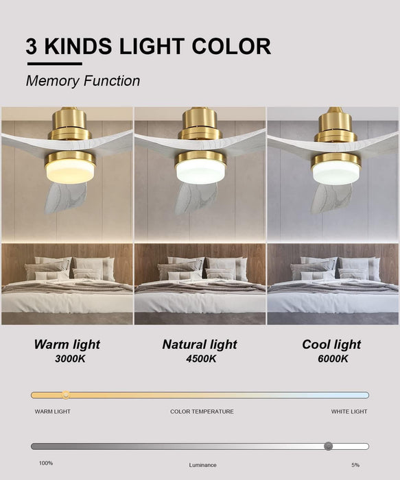 52 in. Ceiling Fan, Outdoor Ceiling Fan with Light and Remote, Outdoor Ceiling Fan with Light, Dimmable Quiet Ceiling Fans, Reversible Wood Blades-43-ErisView