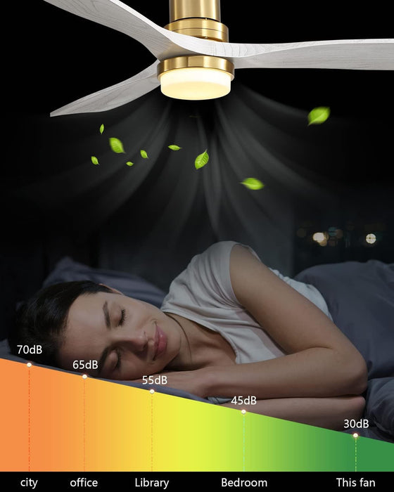 52 in. Ceiling Fan, Outdoor Ceiling Fan with Light and Remote, Outdoor Ceiling Fan with Light, Dimmable Quiet Ceiling Fans, Reversible Wood Blades-47-ErisView
