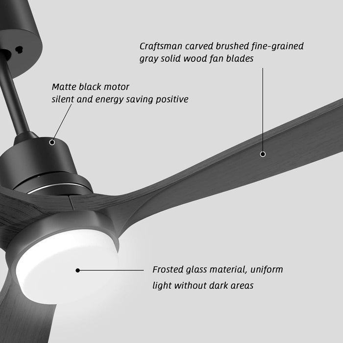 52 in. Ceiling Fan with Light Remote Control, Outdoor Wood Ceiling Fan,Beautiful Ceiling Fans-27-ErisView