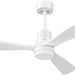 52 in. Ceiling Fan with Light Remote Control, Outdoor Wood Ceiling Fan,Beautiful Ceiling Fans-32-ErisView