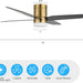 52 in. Ceiling Fan with Light and Remote, Gold Flush Mount Low Profile Ceiling Fan and Light, Quiet Ceiling Fan Summer Winter for Bedroom Living Room-2-ErisView