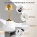 52 in. Ceiling Fan with Light and Remote, Indoor Modern Reversible DC Ceiling Fan, 3 Blade White Gold Ceiling Fan for Bedroom Living Room Dining Room-6-ErisView