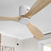 52 in. Ceiling Fan with Light and Remote for Bedroom Living Room, Outdoor Flush Mount Quiet Energy Efficient Ceiling Fans -15-ErisView