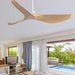 52 in. Ceiling Fan with Light and Remote for Bedroom Living Room, Outdoor Flush Mount Quiet Energy Efficient Ceiling Fans -31-ErisView