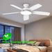 52 in. Ceiling Fan with Lights, Black Silent Ceiling Fan . Dimmable Ceiling Fan Light with Reversible Blades-16-ErisView
