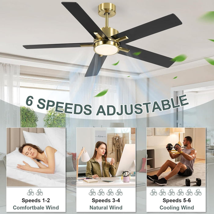 52 in. Ceiling Fan with Lights and Remote, 2 In 1 LED Black Ceiling Fan with 5 Blades, Reversible Quiet Ceiling Fans for Bedroom Living Room Patio-5-ErisView
