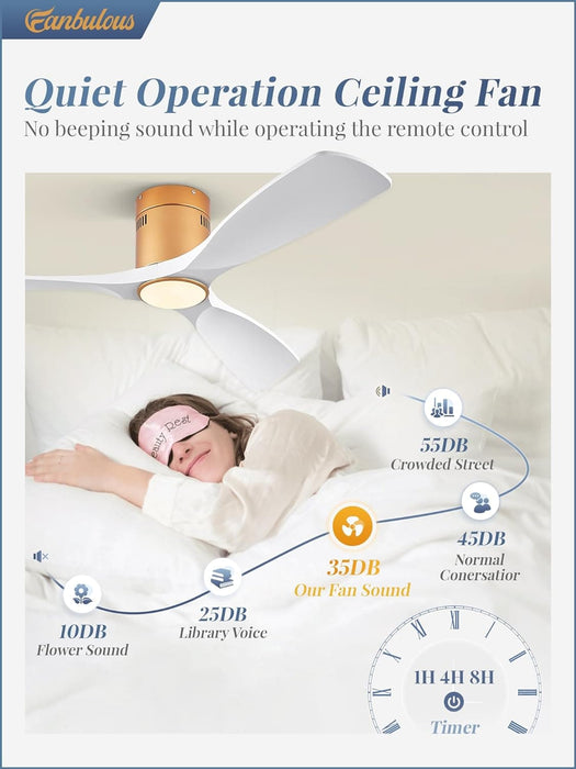 52 in. Ceiling Fan with Lights and Remote, Modern Flush Mount Ceiling Fan, Low Profile Reversible DC Ceiling Fan for Bedroom Living Room Patio-32-ErisView