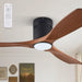 52 in. Ceiling Fan with Lights and Remote, Modern Flush Mount Ceiling Fan, Low Profile Reversible DC Ceiling Fan for Bedroom Living Room Patio-1-ErisView