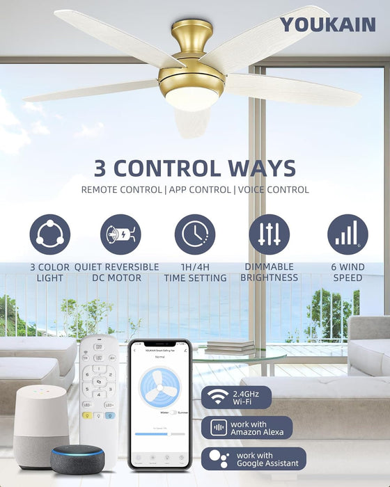 52 in. Ceiling Fan with Low Profile Light, Gold Flush Mount Outdoor Reversible Fan in Winter Summer, Smart Fans Work with Wi-Fi Alexa APP-2-ErisView