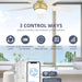 52 in. Ceiling Fan with Low Profile Light, Gold Flush Mount Outdoor Reversible Fan in Winter Summer, Smart Fans Work with Wi-Fi Alexa APP-2-ErisView
