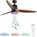 52 in. Ceiling Fan with RGB Dimming LED Light Music Bluetooth Speaker Remote Control, Reversible Ceiling Fan Summer Winter for Living Room Bedroom-19-ErisView