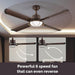 52 in. Ceiling Fan with Up and Down Light, 4 Metal  Blade Ceiling Fan-4-ErisView