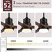 52 in. Ceiling Fans with Lights and Remote, Black Ceiling Fan with Remote, Outdoor Ceiling Fans with Light, Farmhouse Patio-11-ErisView