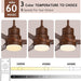 52 in. Ceiling Fans with Lights and Remote, Black Ceiling Fan with Remote, Outdoor Ceiling Fans with Light, Farmhouse Patio-47-ErisView